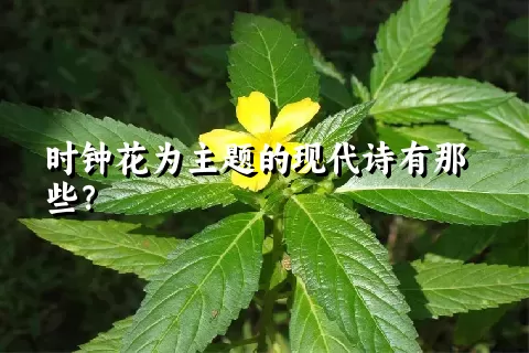 时钟花为主题的现代诗有那些？