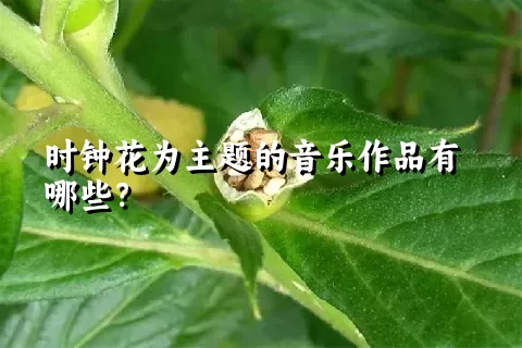 时钟花为主题的音乐作品有哪些？