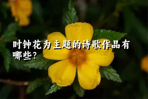 时钟花为主题的诗歌作品有哪些？