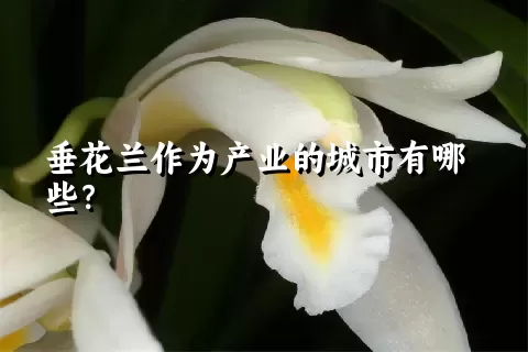 垂花兰作为产业的城市有哪些？