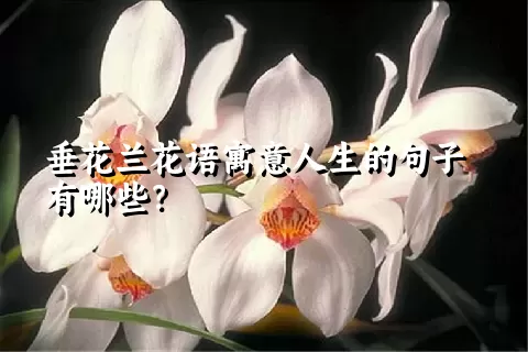 垂花兰花语寓意人生的句子有哪些？