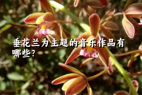 垂花兰为主题的音乐作品有哪些？