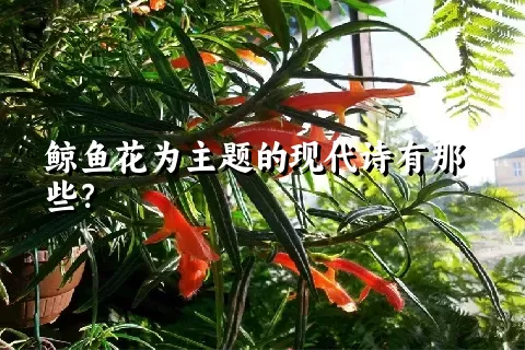 鲸鱼花为主题的现代诗有那些？