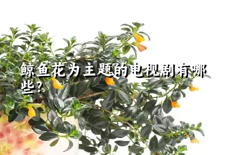 鲸鱼花为主题的电视剧有哪些？