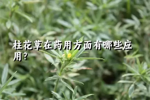 柱花草在药用方面有哪些应用？