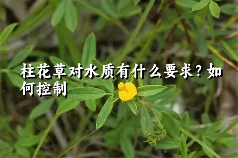 柱花草对水质有什么要求？如何控制