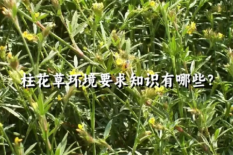 柱花草环境要求知识有哪些？