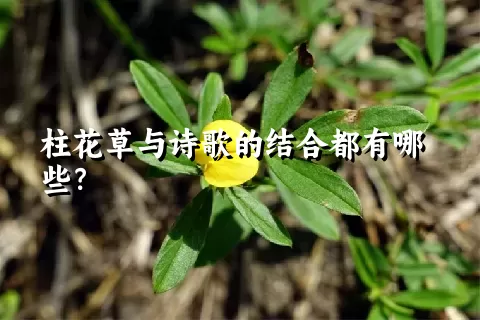 柱花草与诗歌的结合都有哪些？