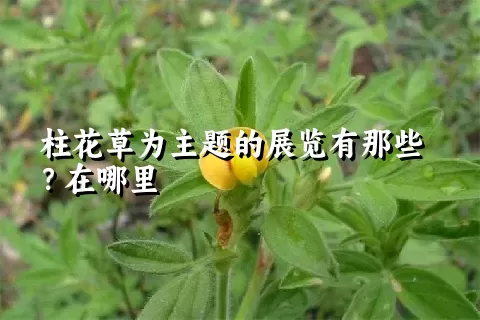 柱花草为主题的展览有那些？在哪里