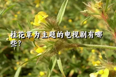 柱花草为主题的电视剧有哪些？