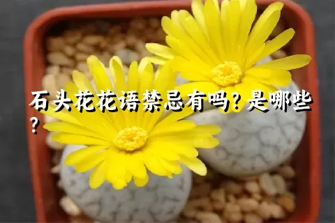 石头花花语禁忌有吗？是哪些？