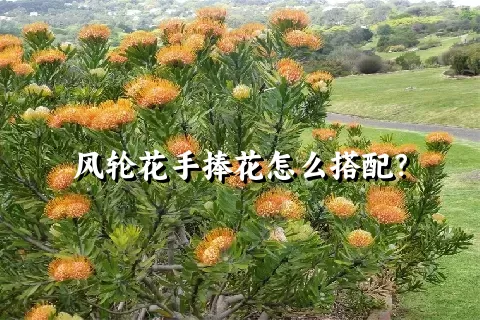 风轮花手捧花怎么搭配？