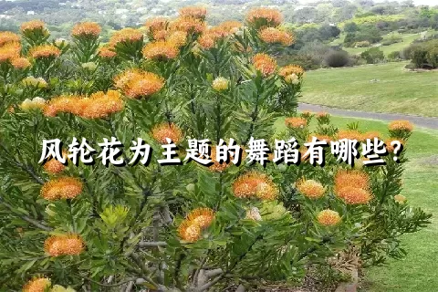 风轮花为主题的舞蹈有哪些？