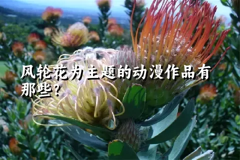 风轮花为主题的动漫作品有那些？