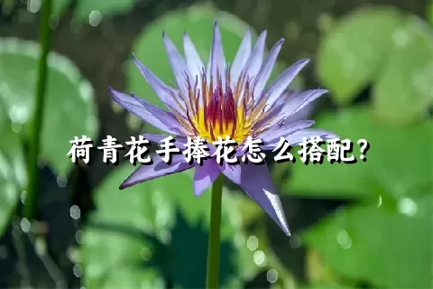 荷青花手捧花怎么搭配？