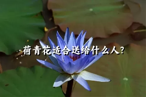 荷青花适合送给什么人？