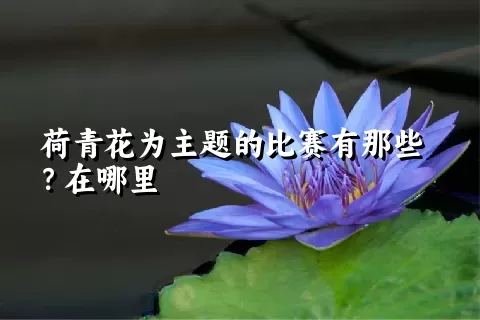 荷青花为主题的比赛有那些？在哪里