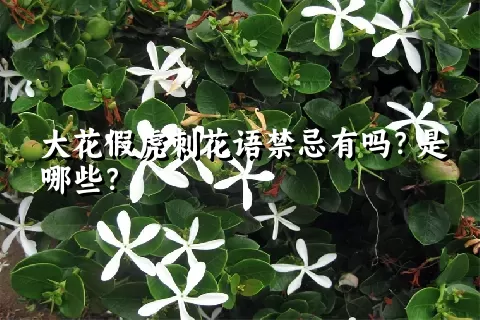 大花假虎刺花语禁忌有吗？是哪些？