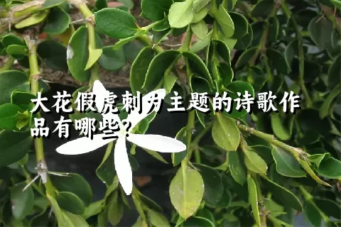 大花假虎刺为主题的诗歌作品有哪些？