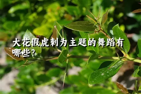 大花假虎刺为主题的舞蹈有哪些？