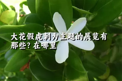 大花假虎刺为主题的展览有那些？在哪里