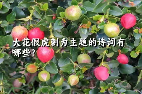 大花假虎刺为主题的诗词有哪些？