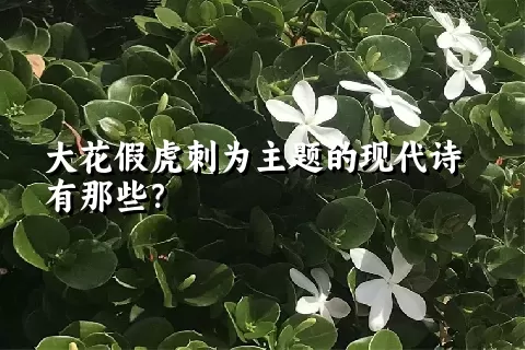 大花假虎刺为主题的现代诗有那些？