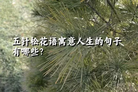 五针松花语寓意人生的句子有哪些？