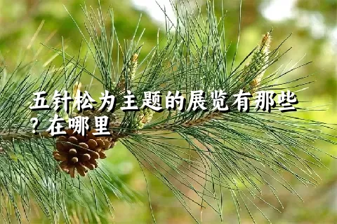 五针松为主题的展览有那些？在哪里