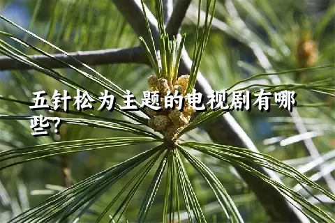 五针松为主题的电视剧有哪些？