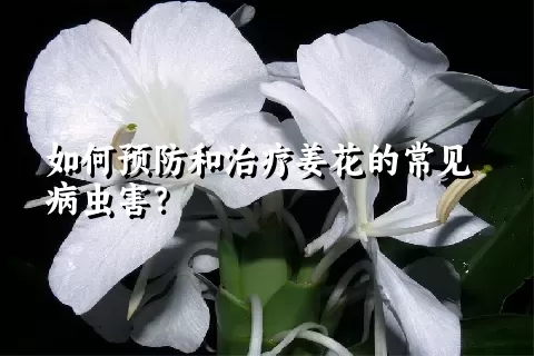 如何预防和治疗姜花的常见病虫害？