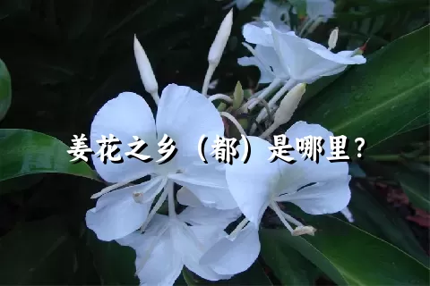 姜花之乡（都）是哪里？