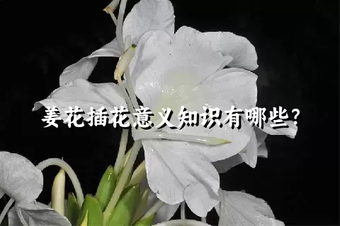 姜花插花意义知识有哪些？