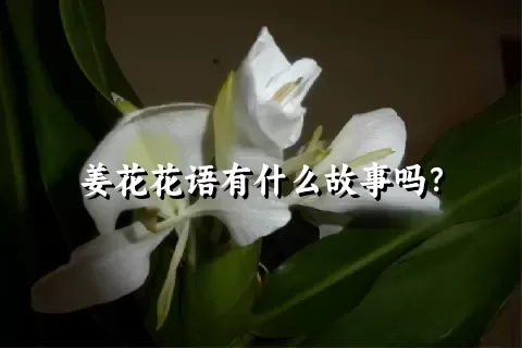 姜花花语有什么故事吗？