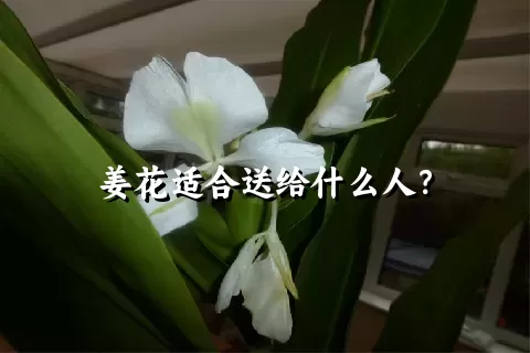 姜花适合送给什么人？