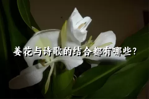 姜花与诗歌的结合都有哪些？