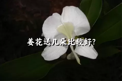 姜花送几朵比较好？