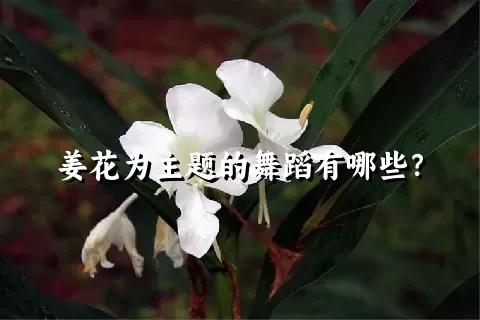 姜花为主题的舞蹈有哪些？