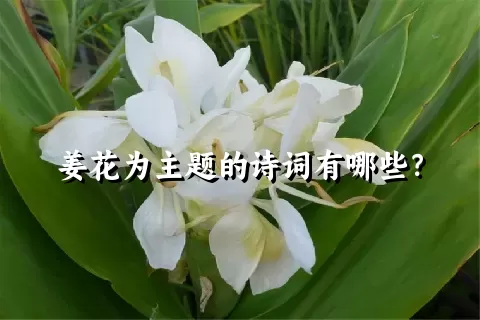 姜花为主题的诗词有哪些？