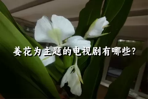 姜花为主题的电视剧有哪些？