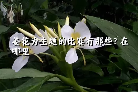 姜花为主题的比赛有那些？在哪里