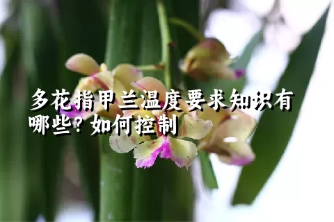 多花指甲兰温度要求知识有哪些？如何控制