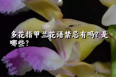 多花指甲兰花语禁忌有吗？是哪些？