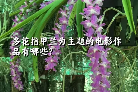 多花指甲兰为主题的电影作品有哪些？