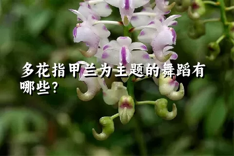 多花指甲兰为主题的舞蹈有哪些？