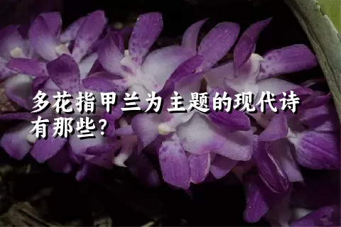 多花指甲兰为主题的现代诗有那些？