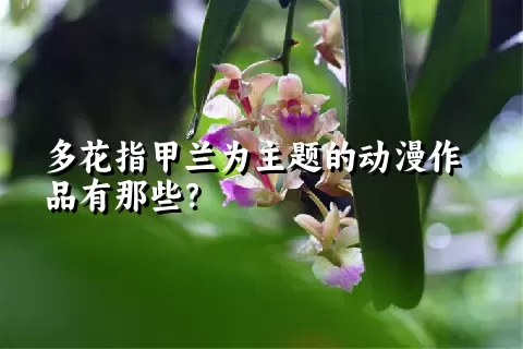 多花指甲兰为主题的动漫作品有那些？