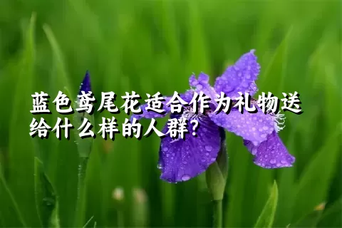 蓝色鸢尾花适合作为礼物送给什么样的人群？