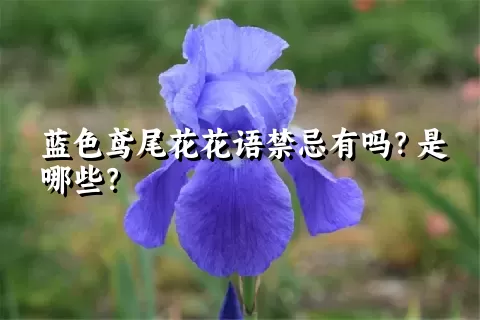 蓝色鸢尾花花语禁忌有吗？是哪些？