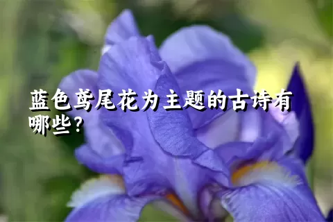 蓝色鸢尾花为主题的古诗有哪些？